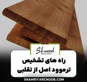 راه‌ های تشخیص ترموود اصل از تقلبی چیست ؟